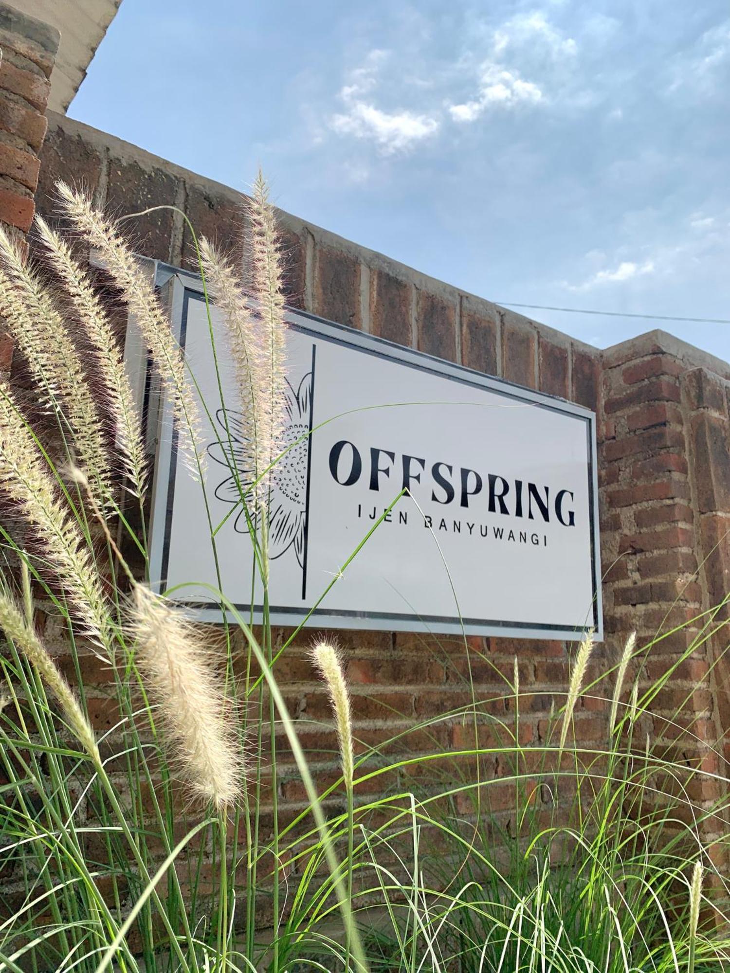 Offspring Ijen Hostel Banyuwangi Exteriér fotografie